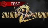 Test Shadow Warrior 2