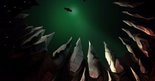 Test Sunless Sea