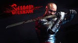Test Shadow Warrior 2