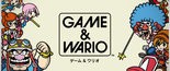 Test Game & Wario