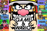 Test Game & Wario