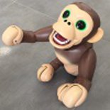 Anlisis Zoomer Chimp