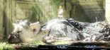 Test The Last Guardian