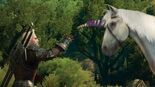 Test The Witcher