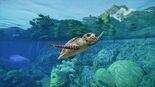 Test Planet Zoo 2