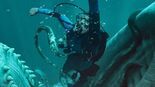 Test Whalefall