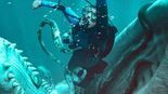 Test Whalefall
