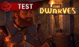 Test The Dwarves