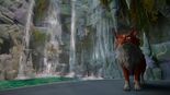 The Forest Review