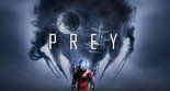 Test Prey