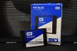 Western Digital Blue SSD Review