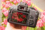 Canon EOS Rebel T7i Review