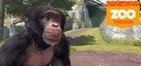 Test Zoo Tycoon
