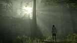 Test Shadow of the Colossus