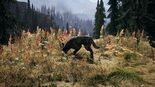 Test Far Cry 5