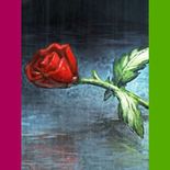 Test Amnesia Collection