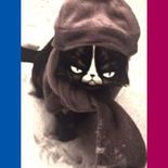 Test She Wants Me Dead