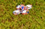 Test Eachine UK65