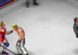 Test Fire Pro Wrestling World