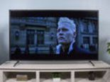 Vizio E65-F1 Review