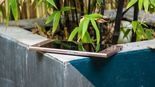 Sony Xperia XZ1 Review