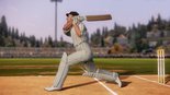 Test Don Bradman Cricket 14