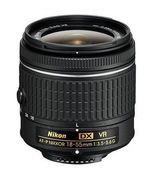 Anlisis Nikon AF-P DX Nikkor 18-55mm