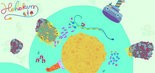 Test Hohokum