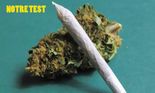 Test Weedcraft Inc