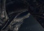 Test Alien Isolation