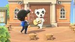Test Animal Crossing New Horizons
